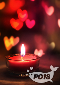女尊之侧夫智网盘